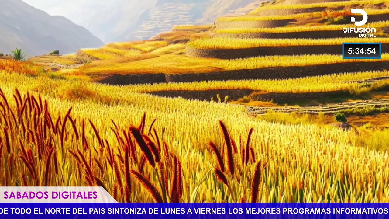 SABADOS DIGITALES