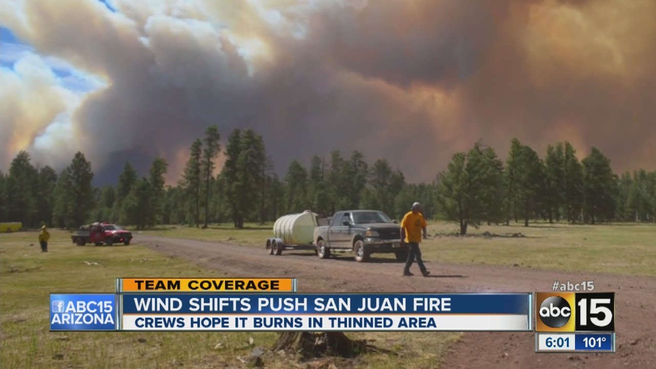 How does 'forest thinning' help prevent wildfires?