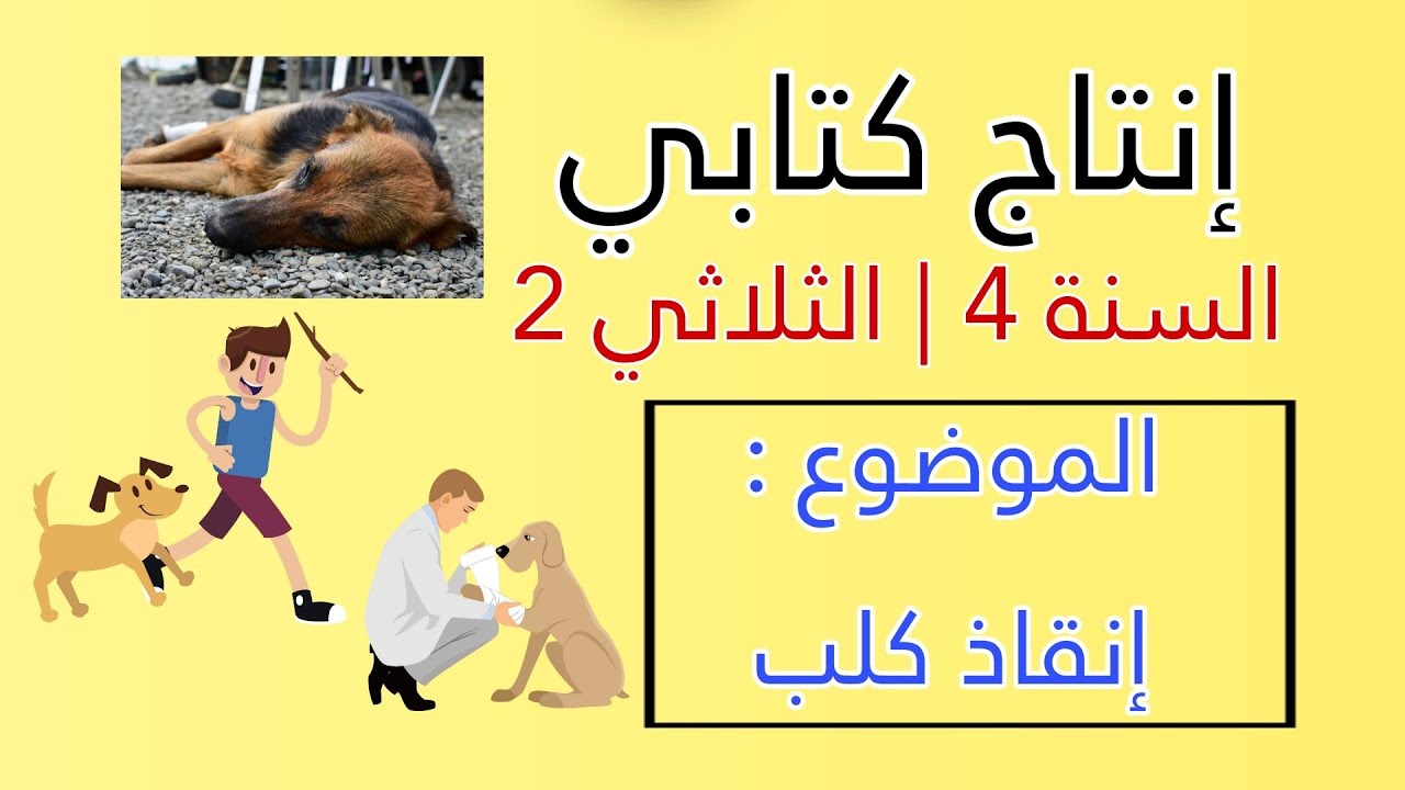 السنة الرابعة : الثلاثي 2 | إنتاج كتابي حول إنقاذ كلب [ إنقاذ حيوان أليف ] غاية في الروعة