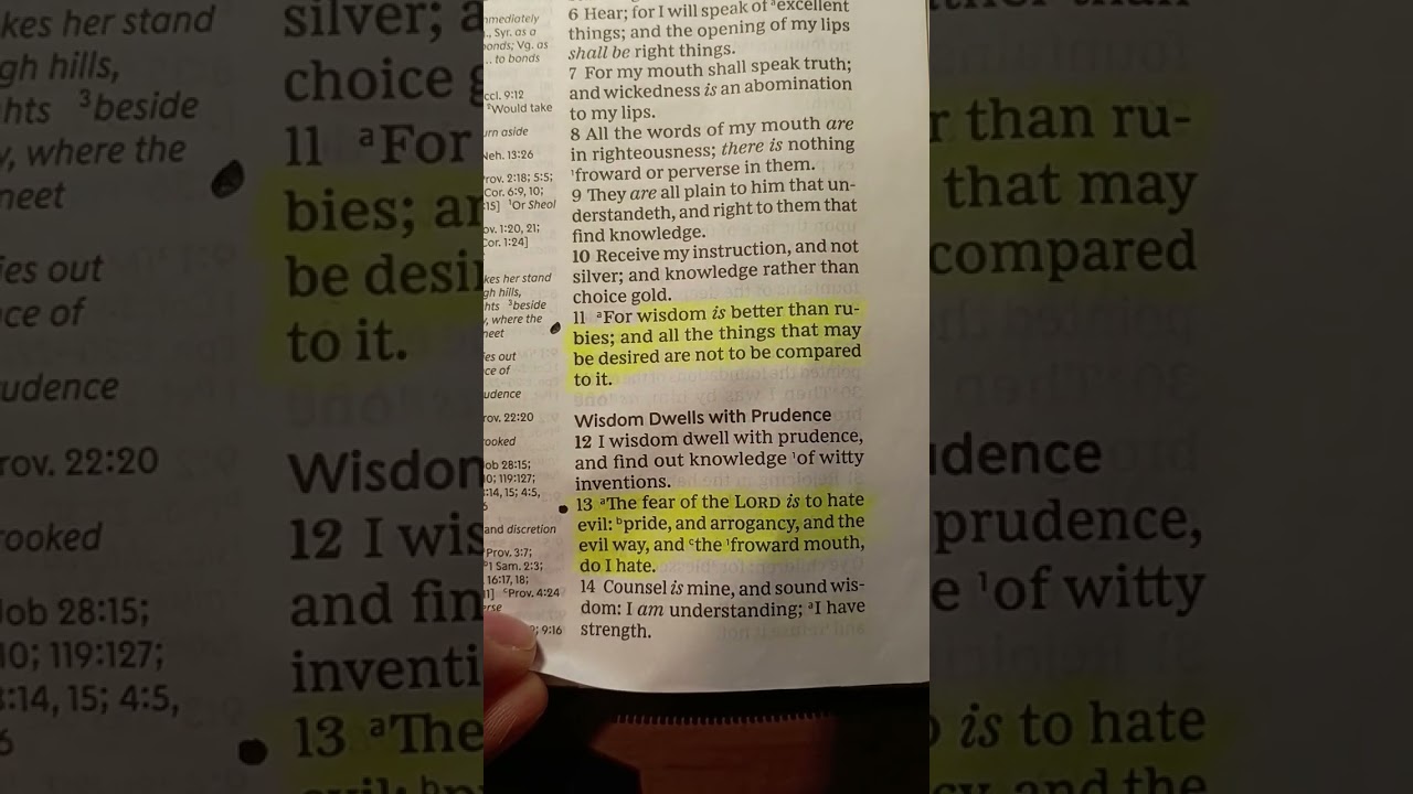 Proverbs 8 | Holy Bible | KJV