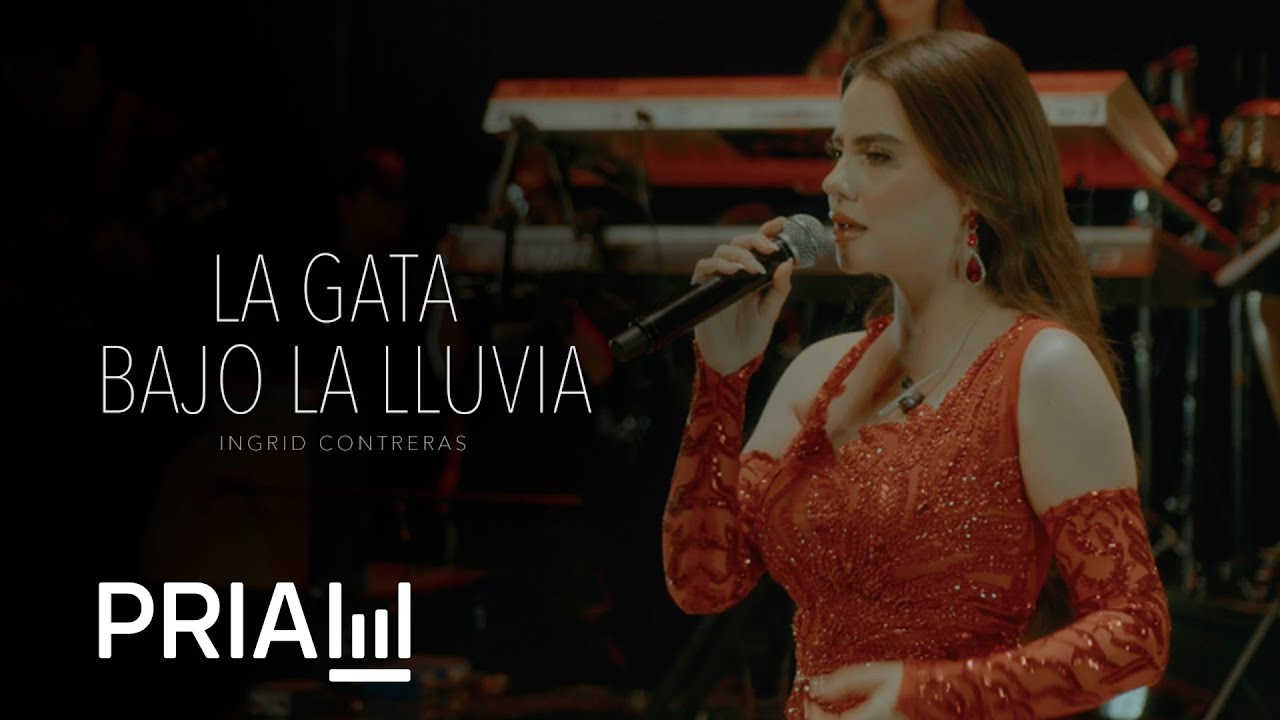 Ingrid Contreras - La Gata Bajo La Lluvia  (En Vivo)