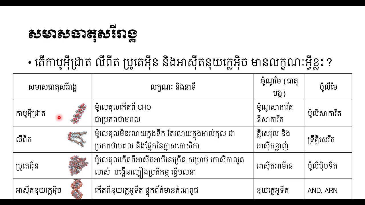 សមាសធាតុអសរីរាង្គ និងសរីរាង្គ