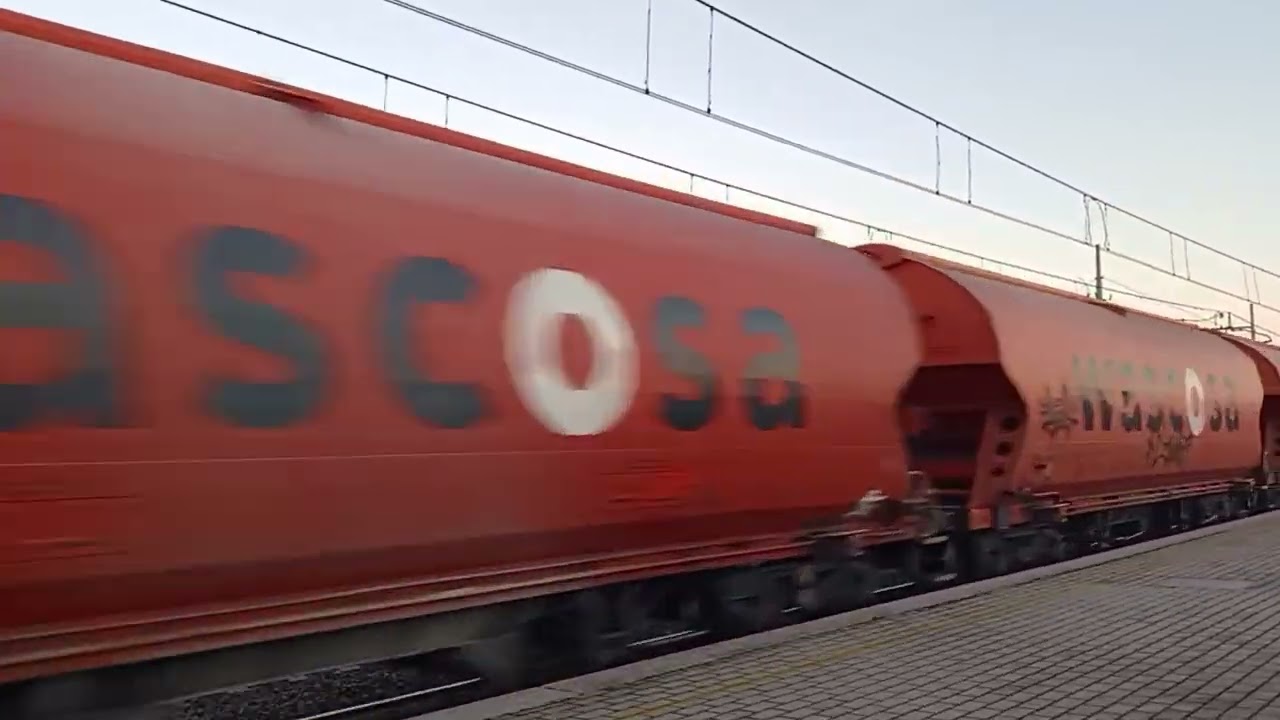 Merci tramogge Wascosa Poggio Rusco - Verona 