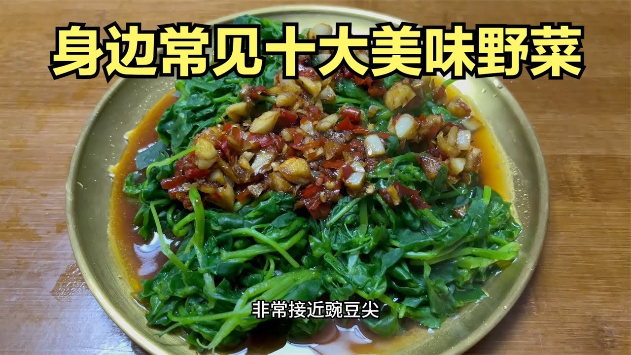 身边常见的十大美味野菜，视频值得收藏点赞转发备用