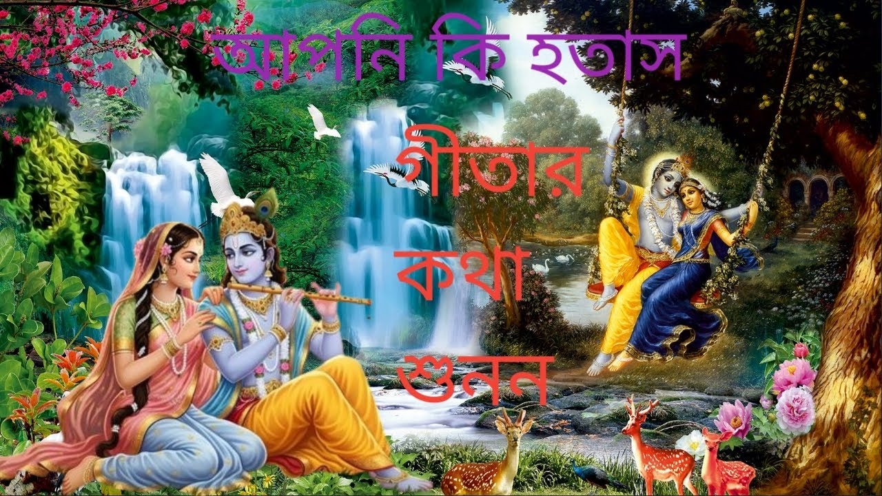 জীবনে শান্তি নেই? গীতার উত্তর শুনে দেখো#গীতাউপদেশ #গীতাসারাংশ #গীতা 