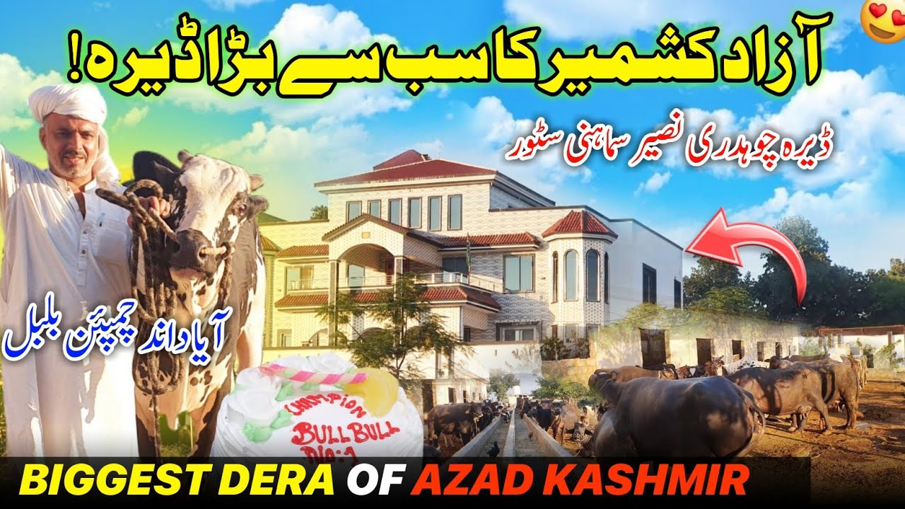 Blockbuster Dera Of Azad Kashmir 😍 Ch Naseer Samahni Store || Aya Dand Champion Bulbul ||