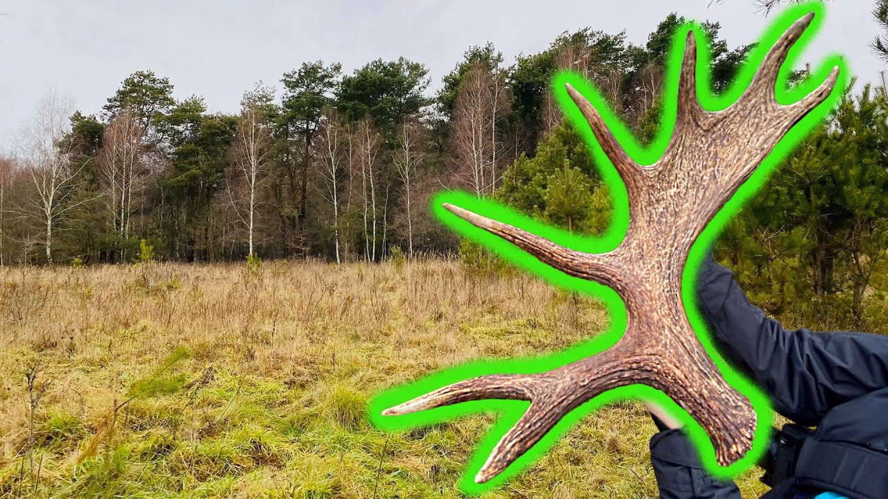 Zrzuty 2022 // Potężna rosocha łosia 4.5 kg - GoPro #78
