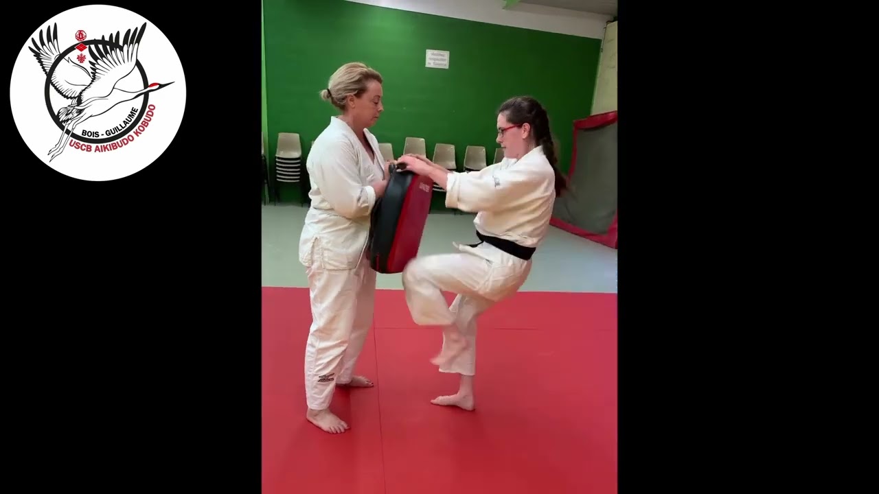 USCB AIKIBUDO - été  2023