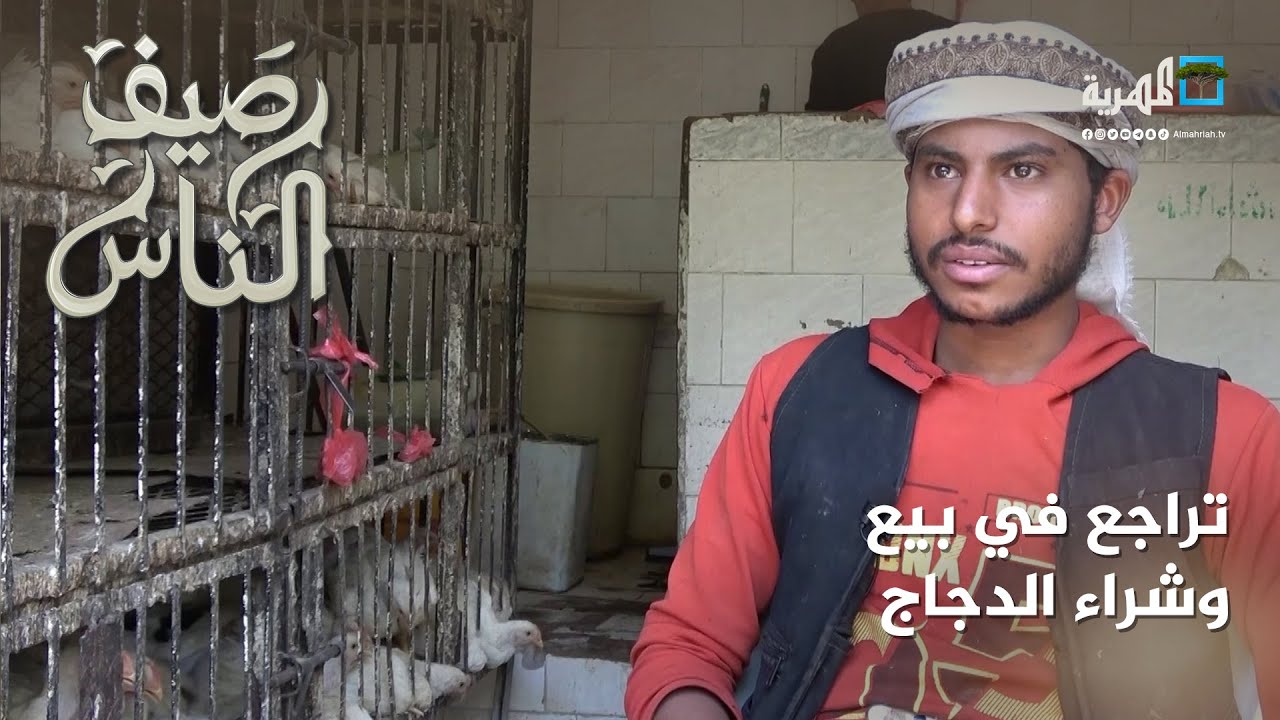 محال الدواجن بصنعاء - تراجع في البيع والشراء نتيجة الغلاء