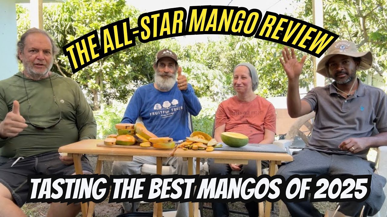 Best Mango Varieties to Grow in 2025? | Florida Mango Tasting & Review