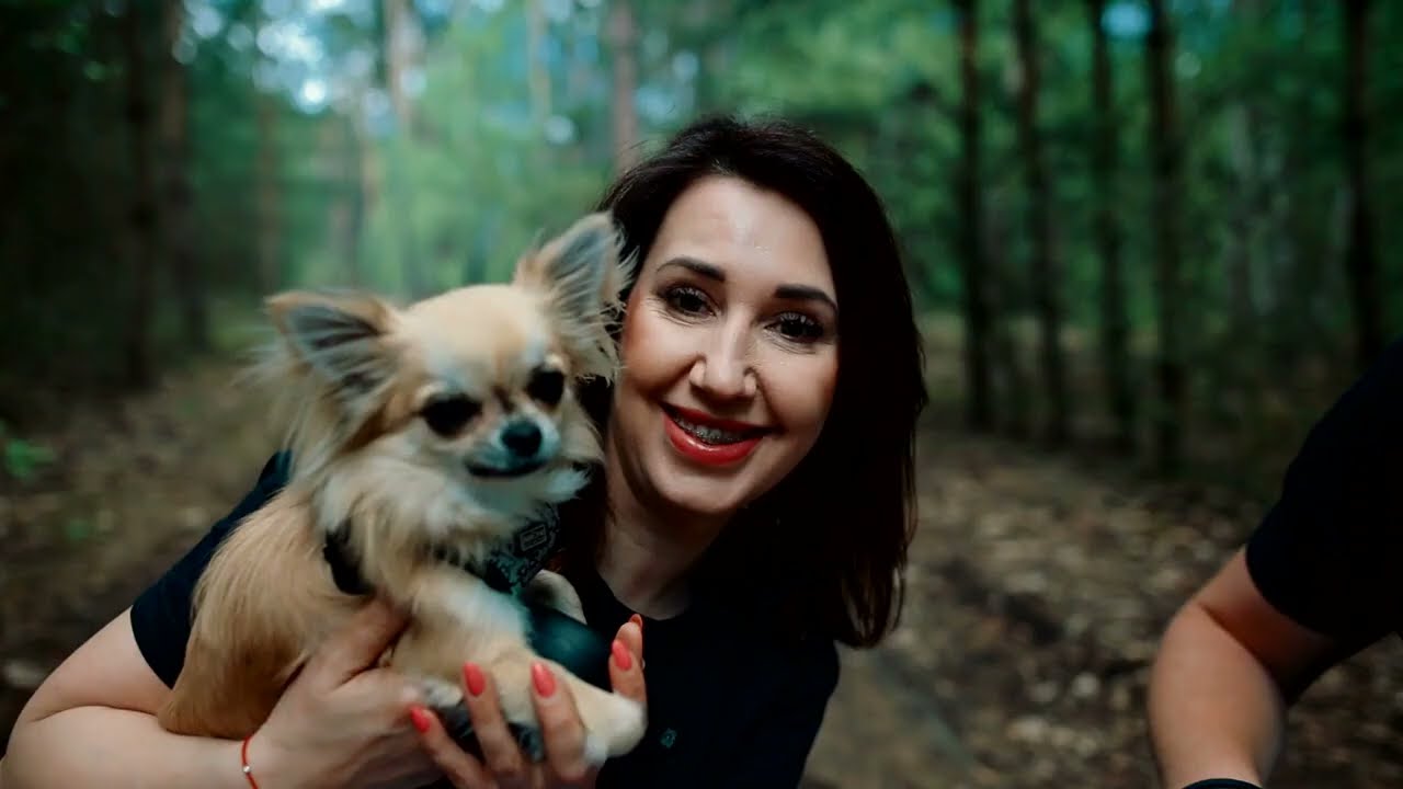 O to My - PetsTravel :)