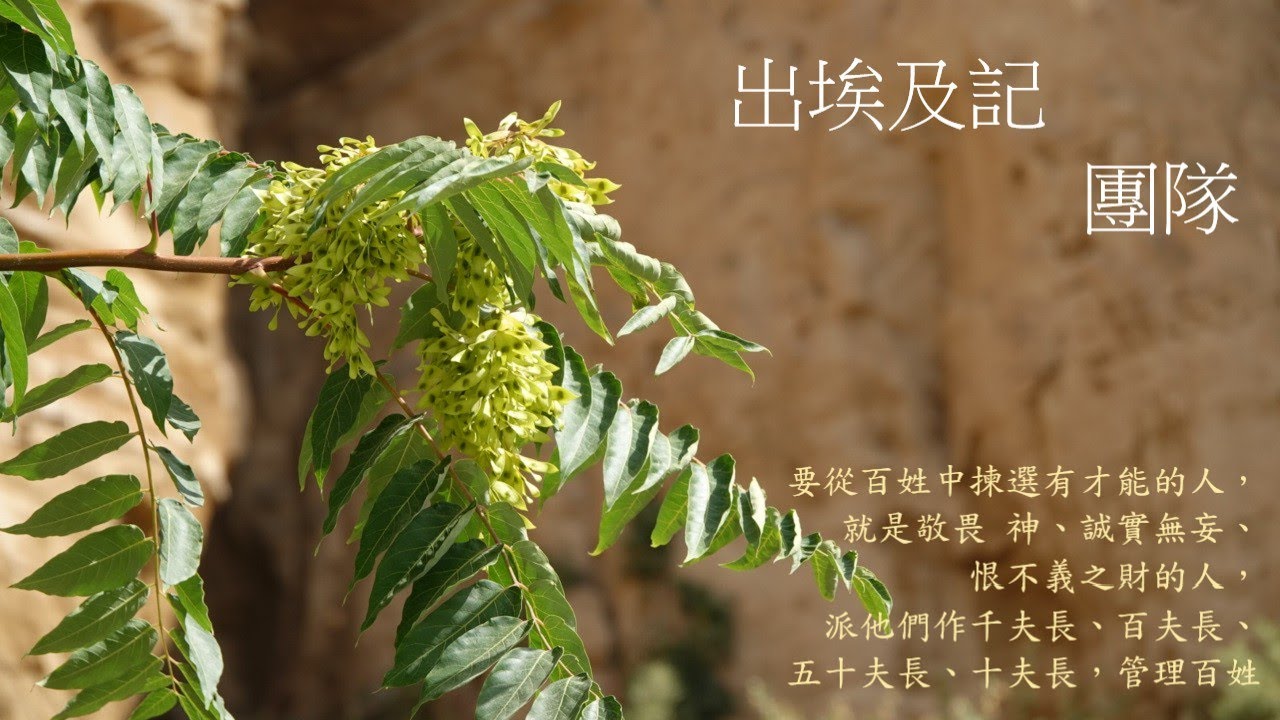 靈修:出埃及記-團隊 20260202