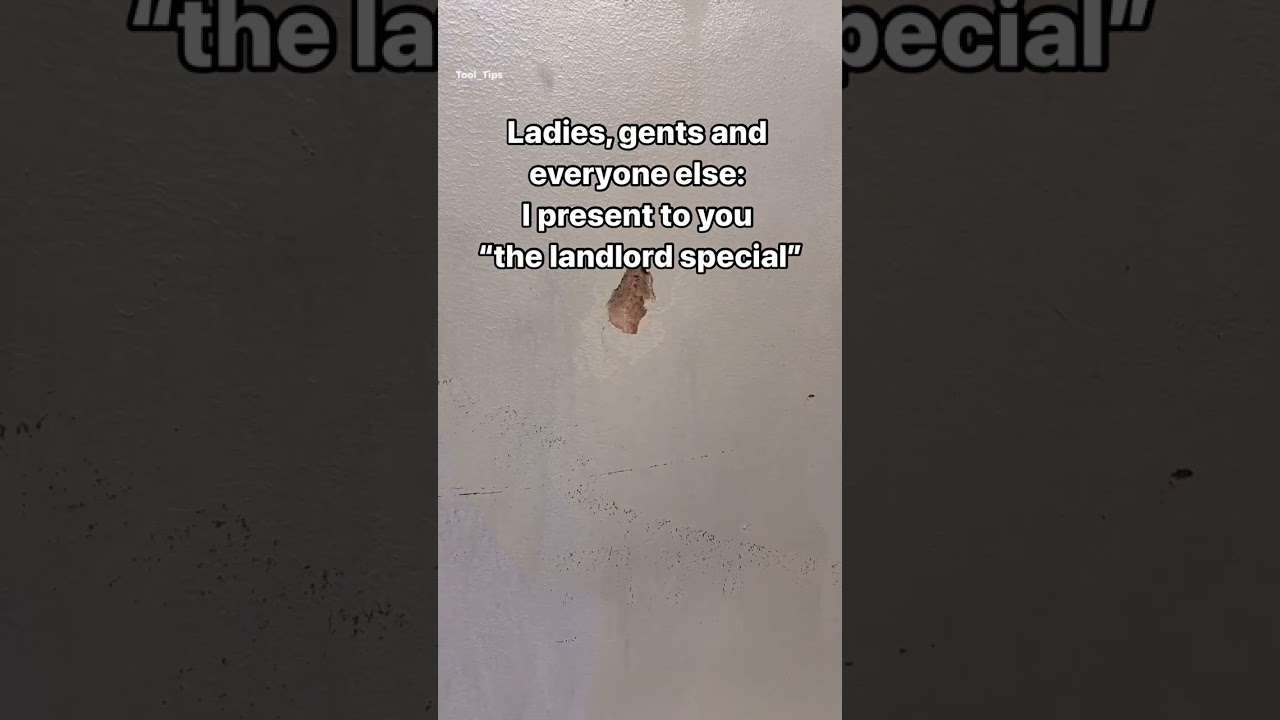 The landlord special