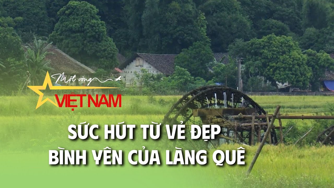 Sức hút từ vẻ đẹp bình yên của làng quê | Thời báo VTV