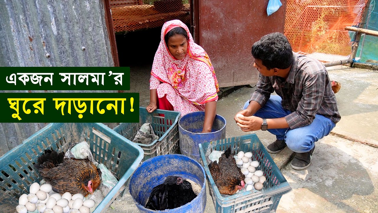 প্রতিবন্ধী সালমা’র ঘুরে দাড়ানো - ছাদের উপর দেশি মুরগি পালন | দেশি মুরগির খামার | Desi murgi palan