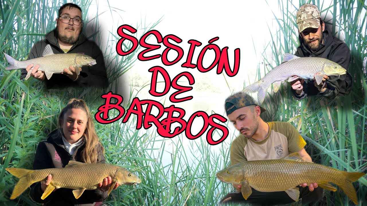 SESIÓN DE BARBOS | BARBOS | CARPFISHING | 2024