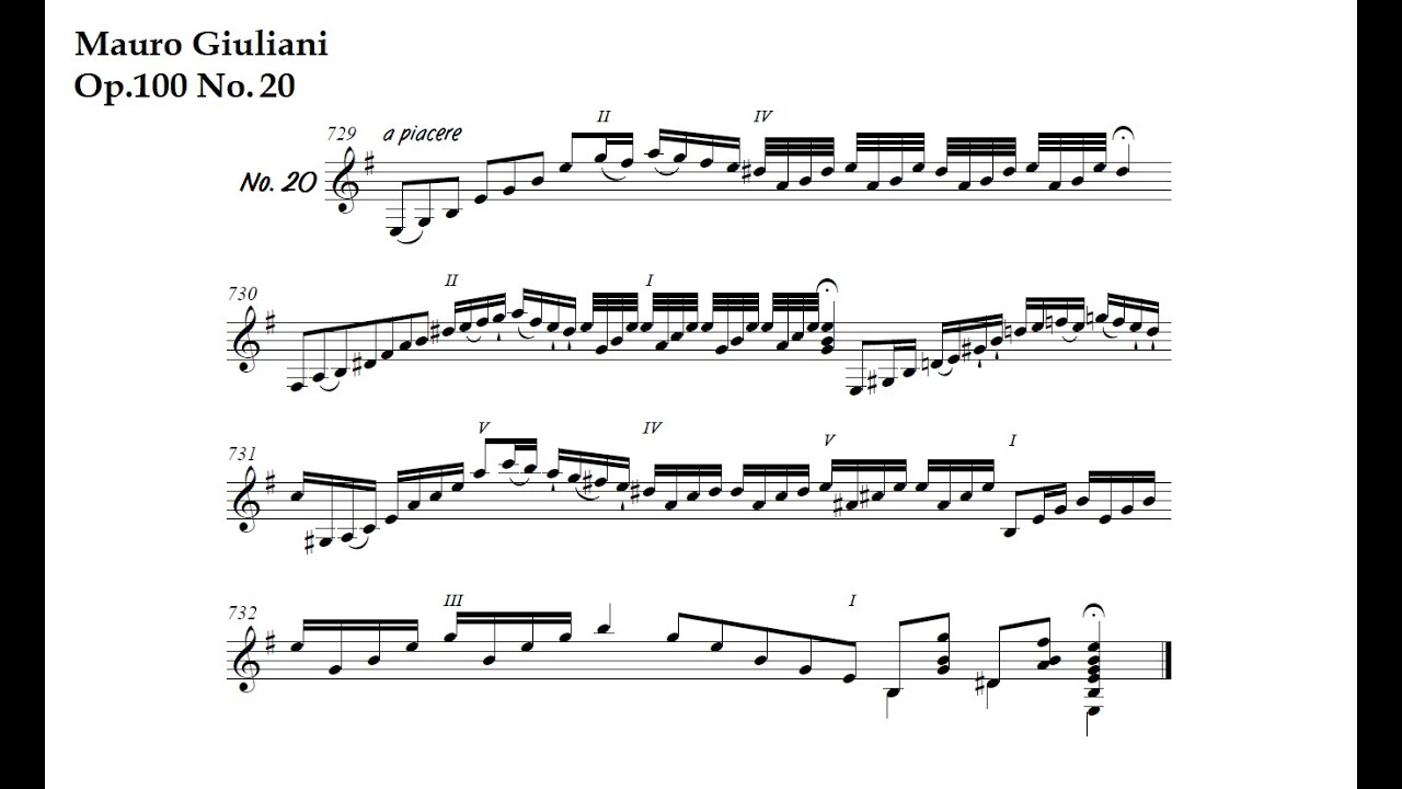 M. Giuliani. Op.100 N20