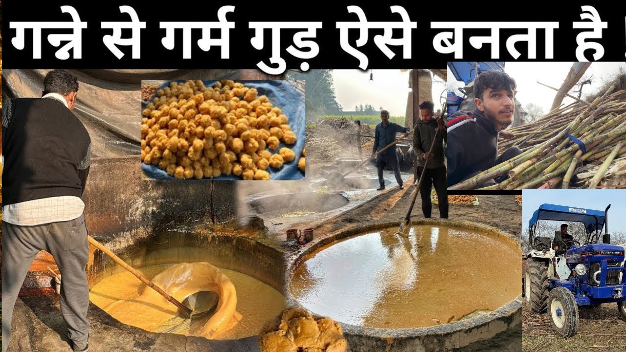 जानिए गन्ने के रस से गुड़ कैसे बनता है | Jaggery Making Process In Village | Village Lifestyle Vlog
