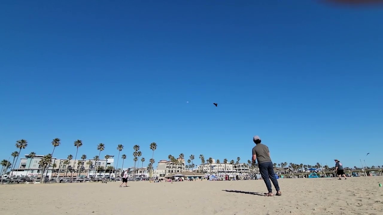 Flying a Panying Eagle Glider at Kite Party 盘鹰风筝