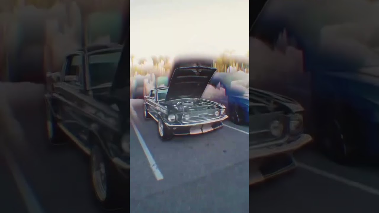 car fans