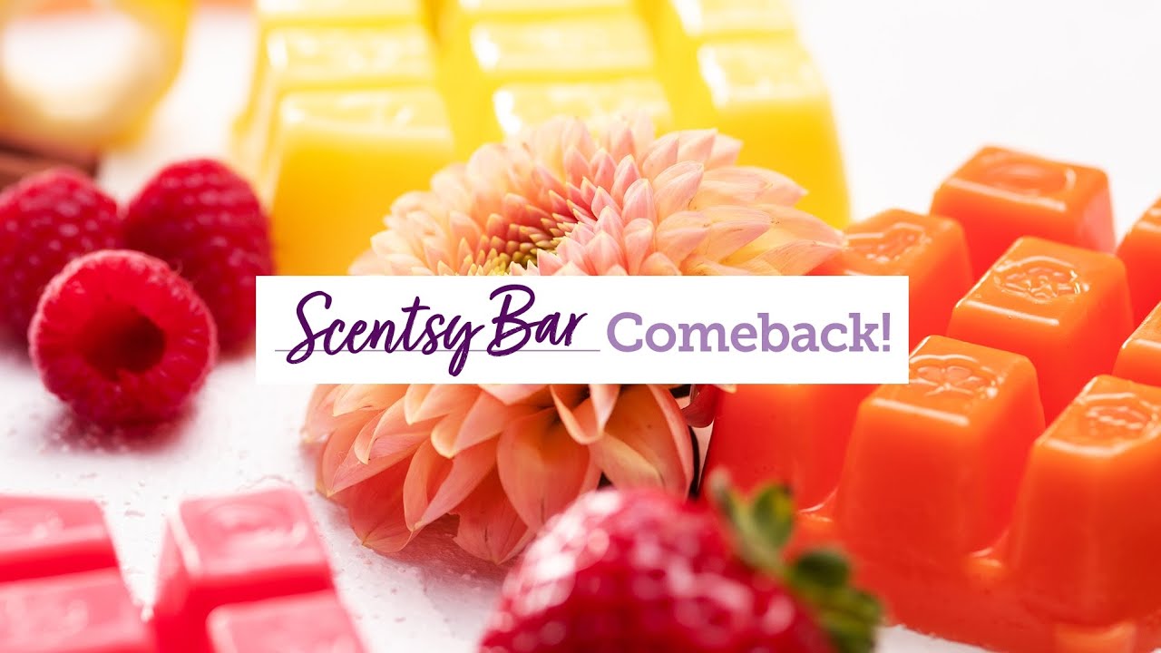 💜Ich schnüffel für euch die neuen Scentsy Bring Back My Bar Düfte 💜