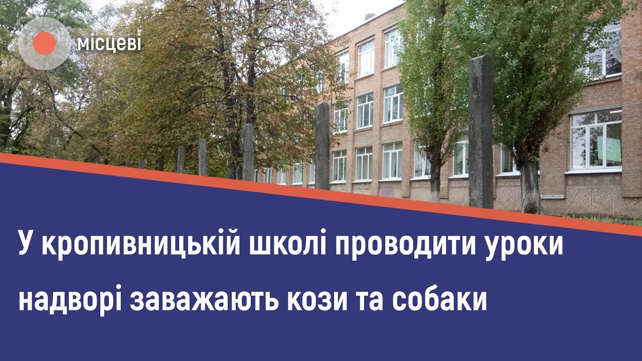 У кропивницькій школі проводити уроки надворі заважають кози та собаки