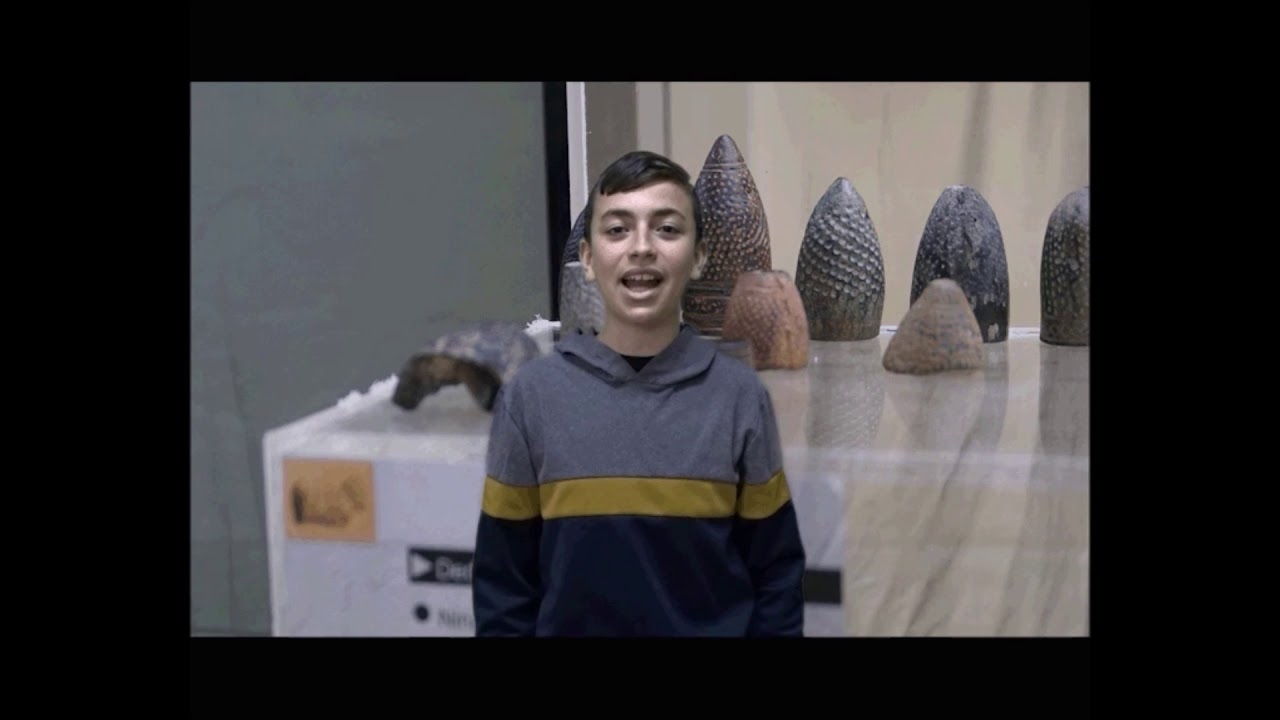 TEBA CONOCE SU HISTORIA | Dedales de Nina Alta