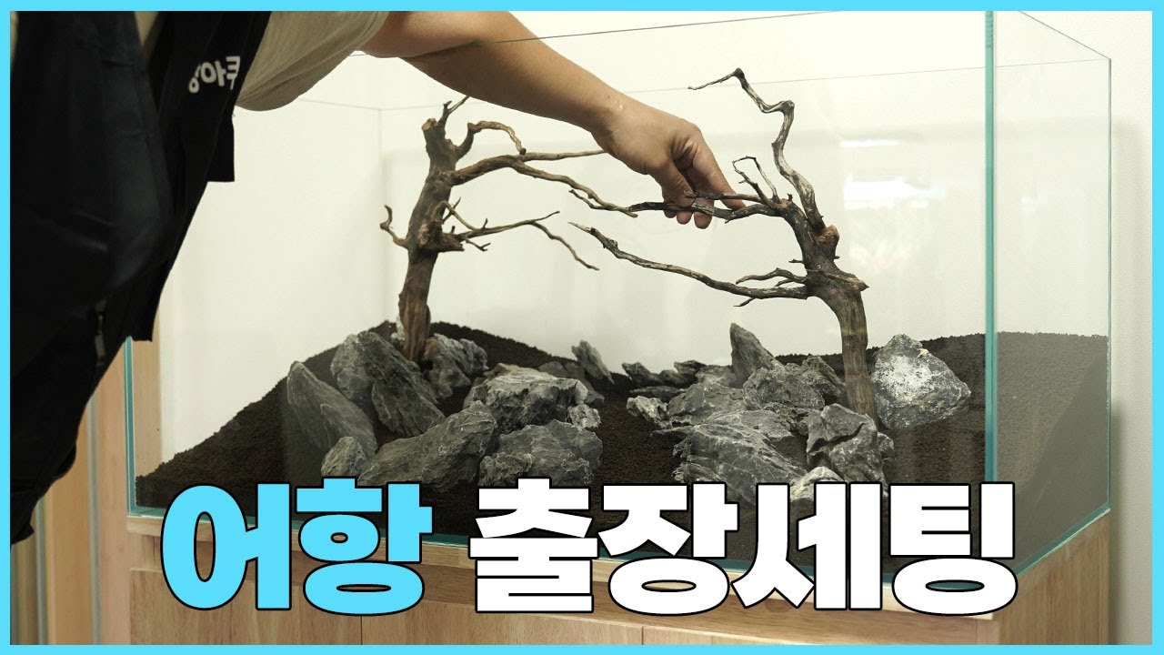 수족관 설치하러 가정집 방문했습니다 (수초어항 출장 세팅)