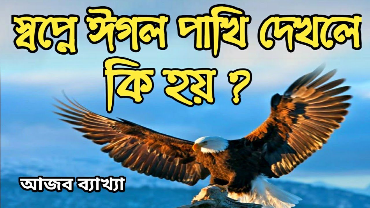 স্বপ্নে ঈগল পাখি দেখলে কি হয় | কোন পাখি দেখলে কি হয় | seeing dream about the bird |