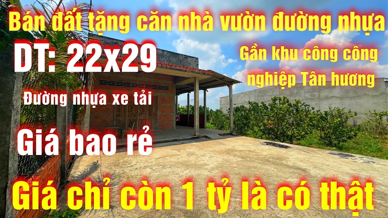 Tập 231💕 Ngợp Nợ Cần Bán Căn Nhà Vườn 22x29 Đường Nhựa Gần Khu Công Nghiệp Tân Hương Tiền Giang