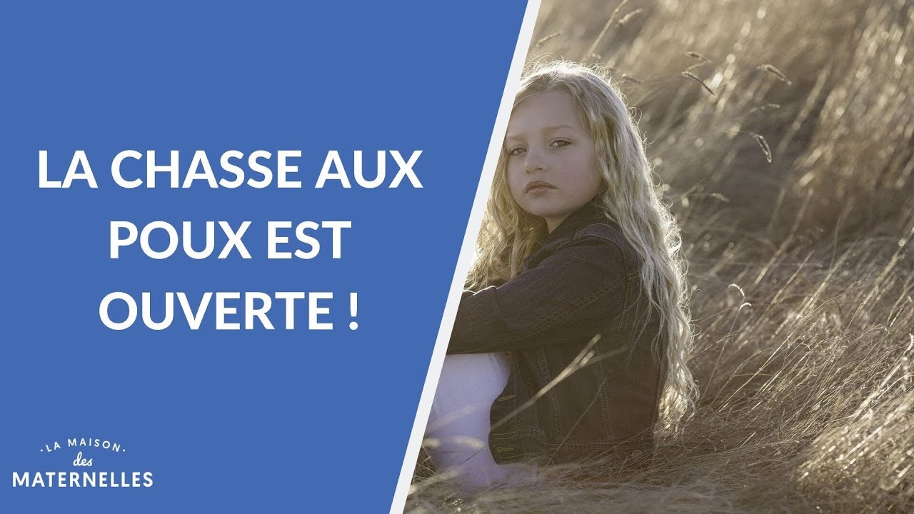 La chasse aux poux est ouverte ! - La Maison des maternelles #LMDM
