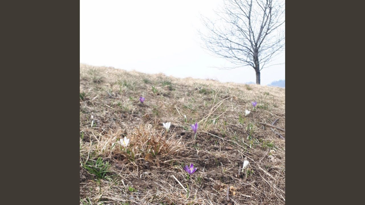 Treasure Hidden In A Field