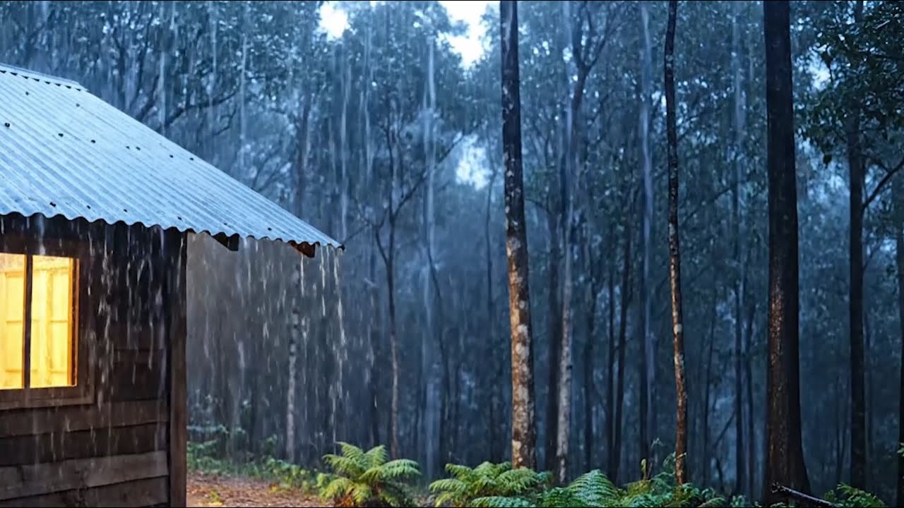 Rain Sounds ASMR - Heavy Rain in Forest - 1 Hour Rain Sounds for Sleep, ADHD, Fall Asleep Fast
