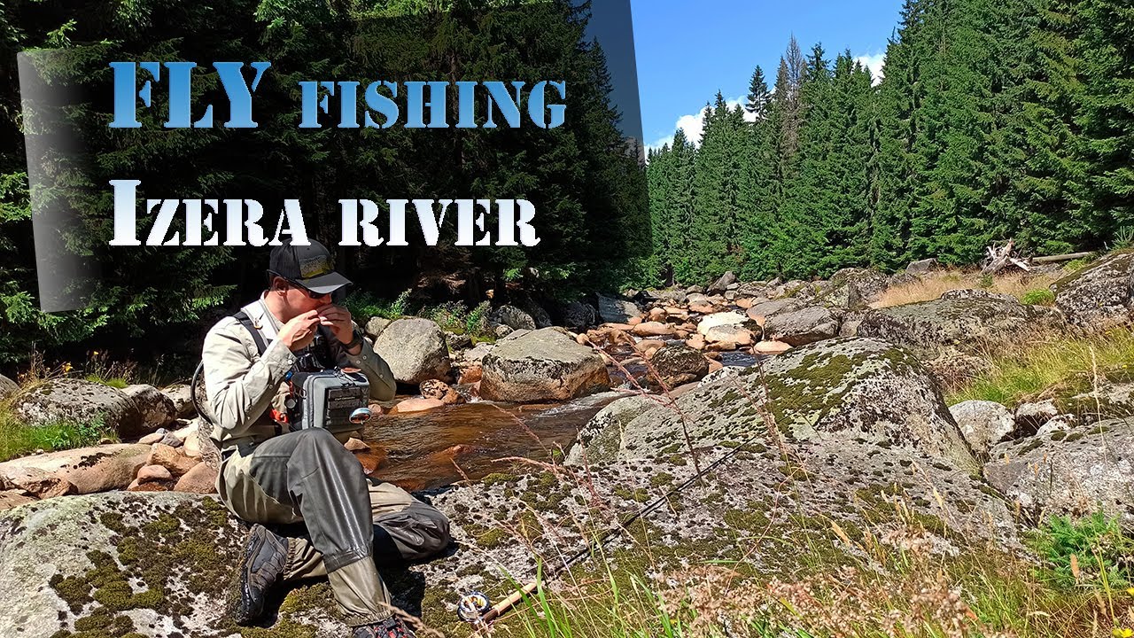 Fly Fishing on Izera River / Fly fishing on dry fly in moutain stream  / Rzeka Izera na muchę