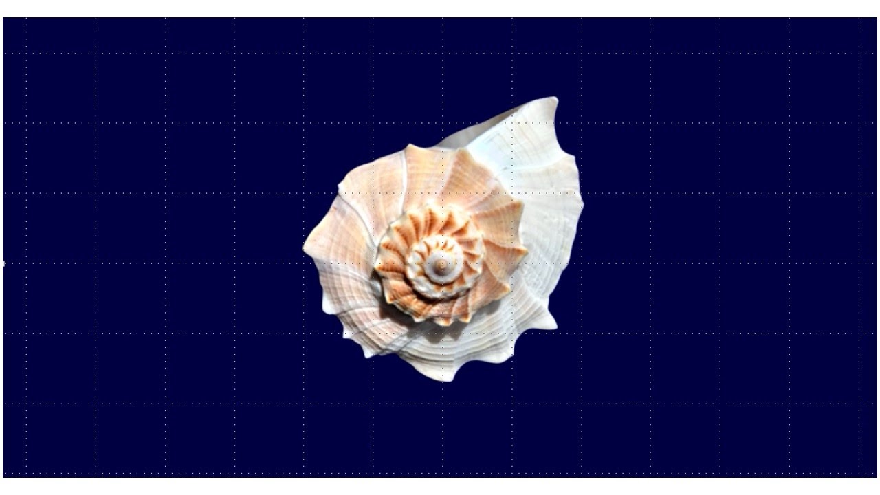 Heilige Geometrie