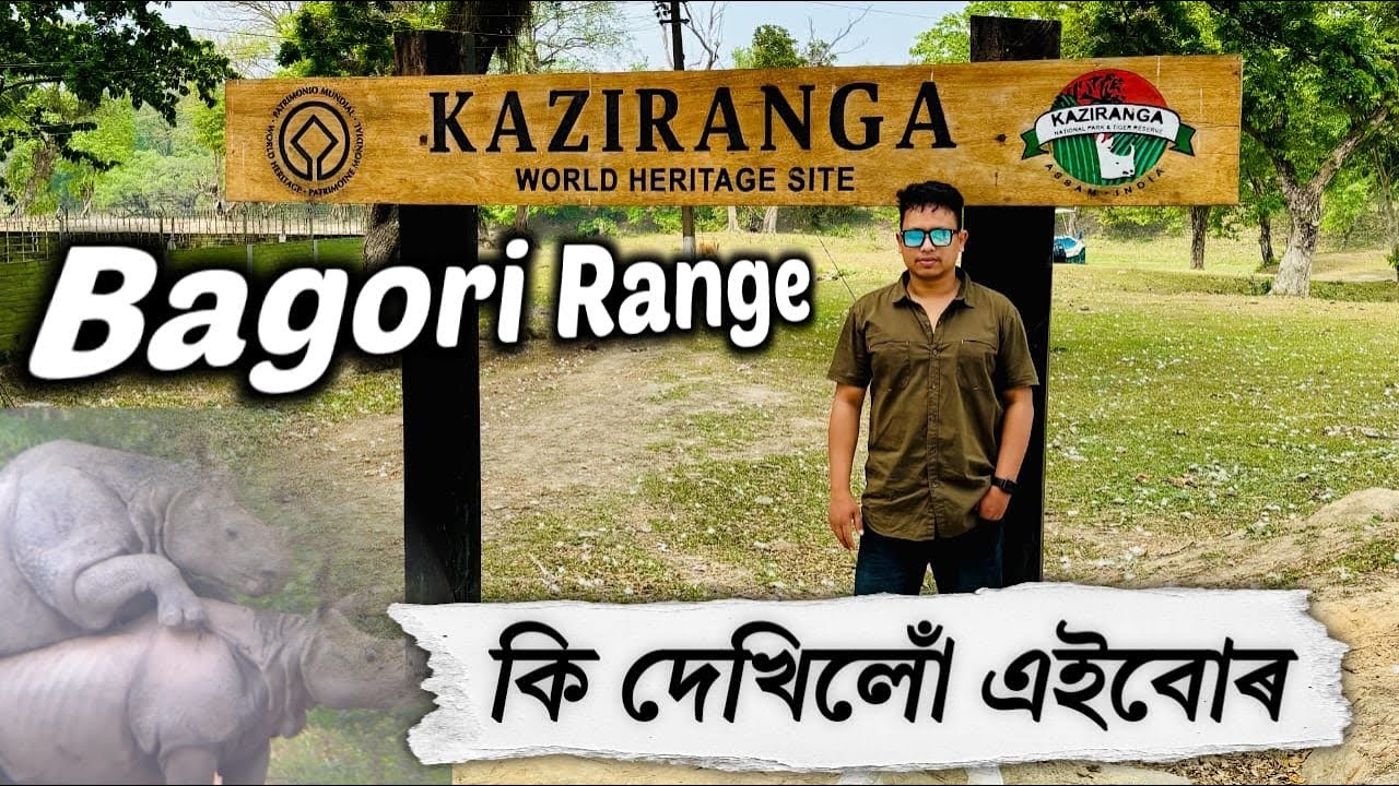 Kaziranga Bagori Range Jeep Safari Video😍 || 🐅🦏 kaziranga Western Range Jeep Safari Video