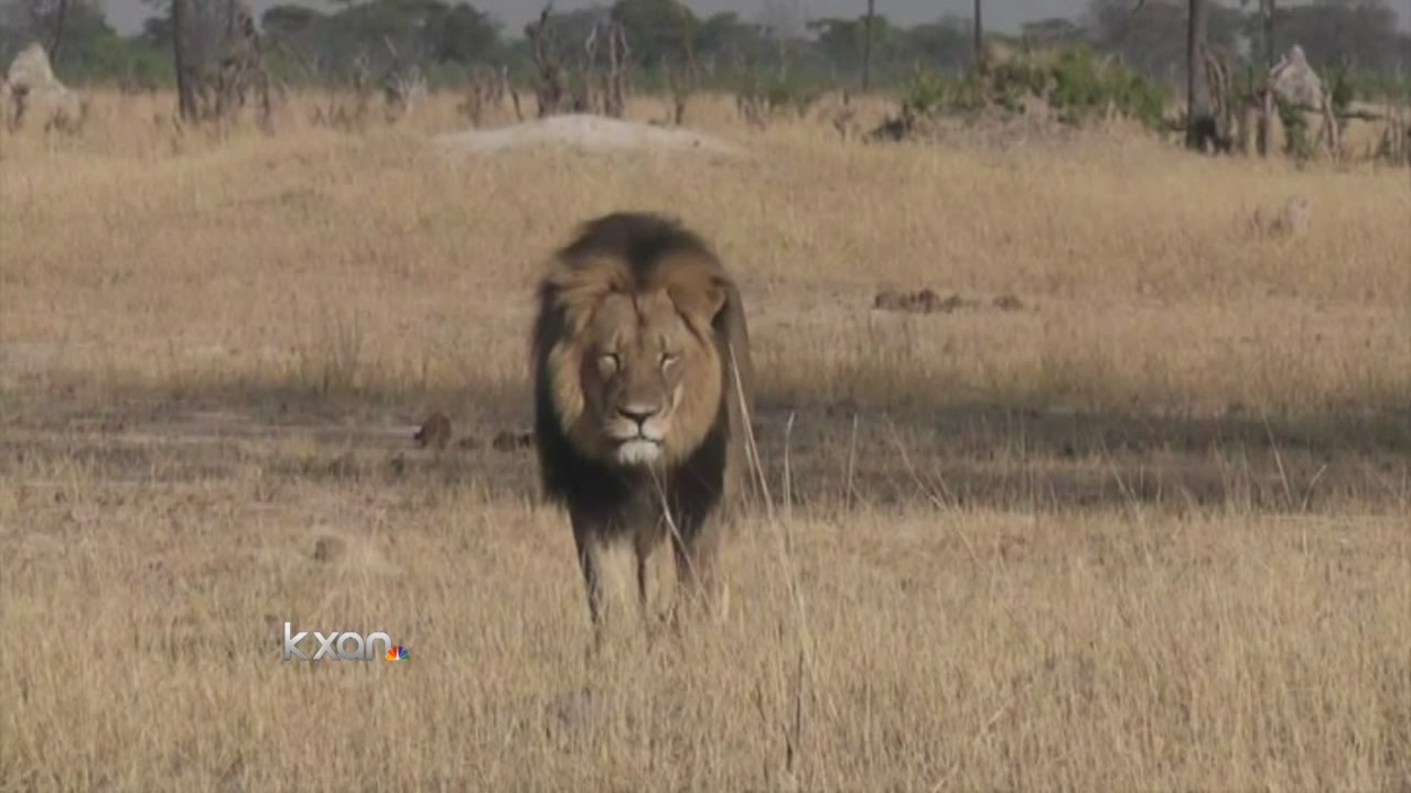 Exotic animal ranches in Texas