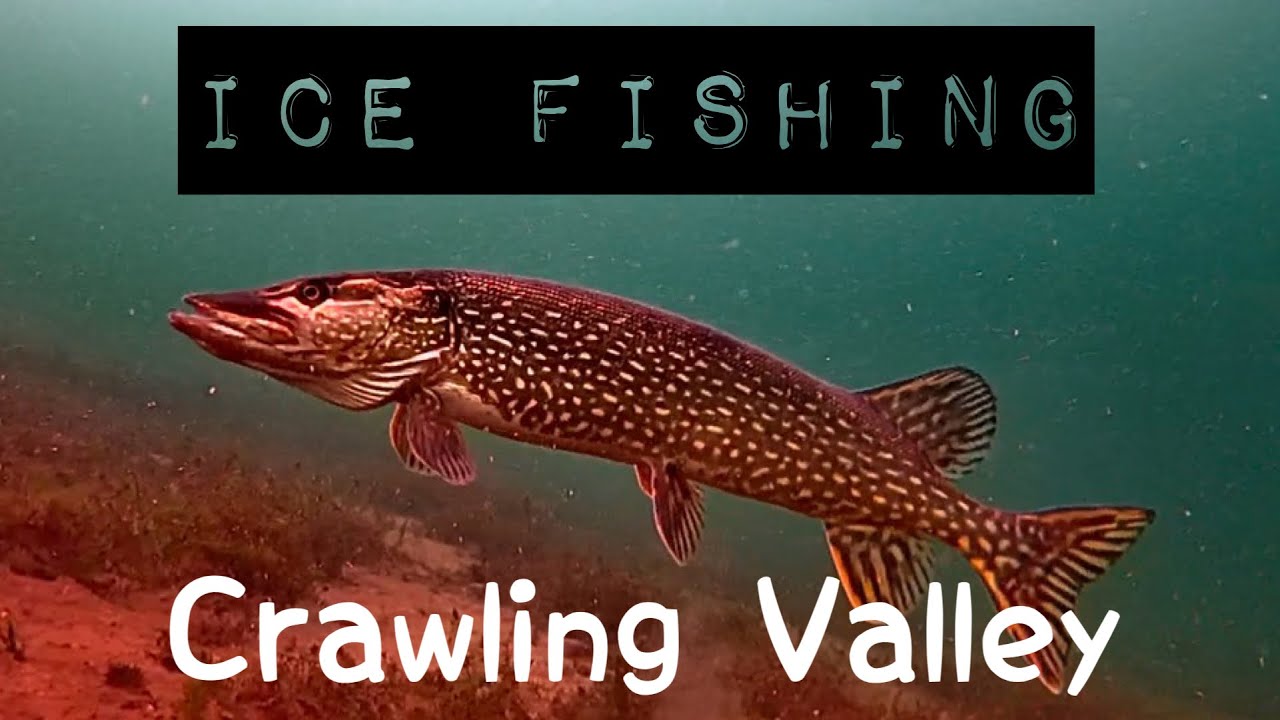 Crawling Valleye Reservoir- Underwater Veiws, Heavy Winds and Catching Fish #icefishing 