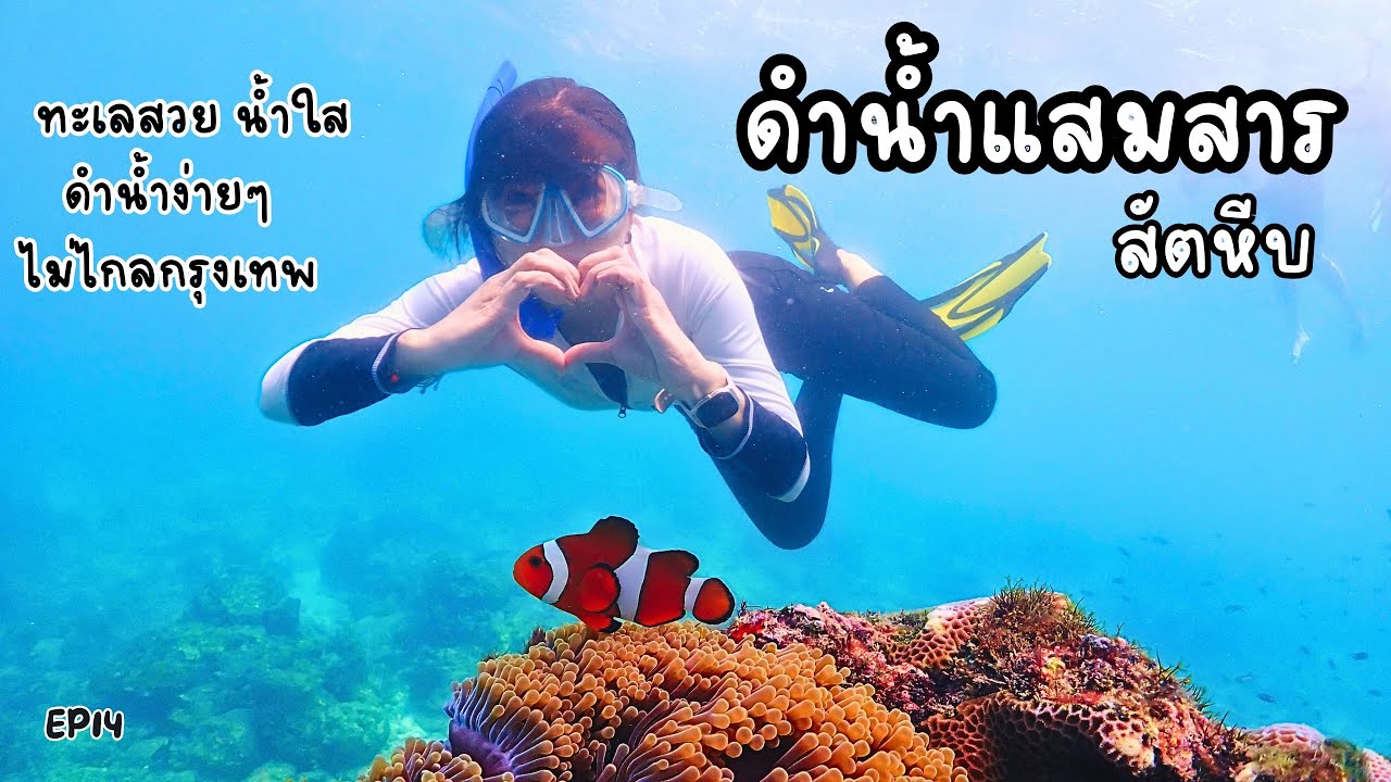 EP14 ขี่รถไปทะเล 3วัน2คืน ดำน้ำแสมสาร และ สัตหีบ ว่ายน้ำกับฝูงปลา ชมปะการัง ดำน้ำง่ายๆใกล้กรุงเทพ 🐠🐟