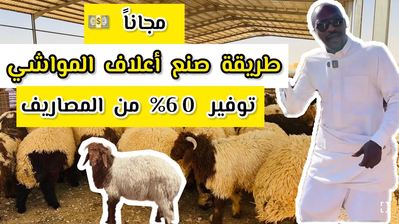 طريقة صنع أعلاف المواشي ( أغنام - دواجن ) مجاناً 💵 مع نبتة الأزولا وفر فلوسك 💸 بنسبة 60% !!! 🔥