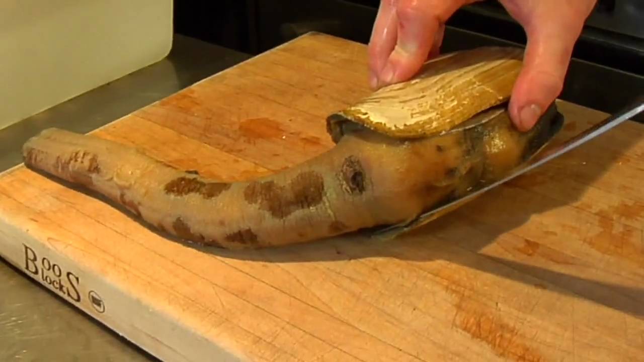 How To Prepare A Geoduck Clam For Cooking - Chef Andrew Lanier - Small Screen