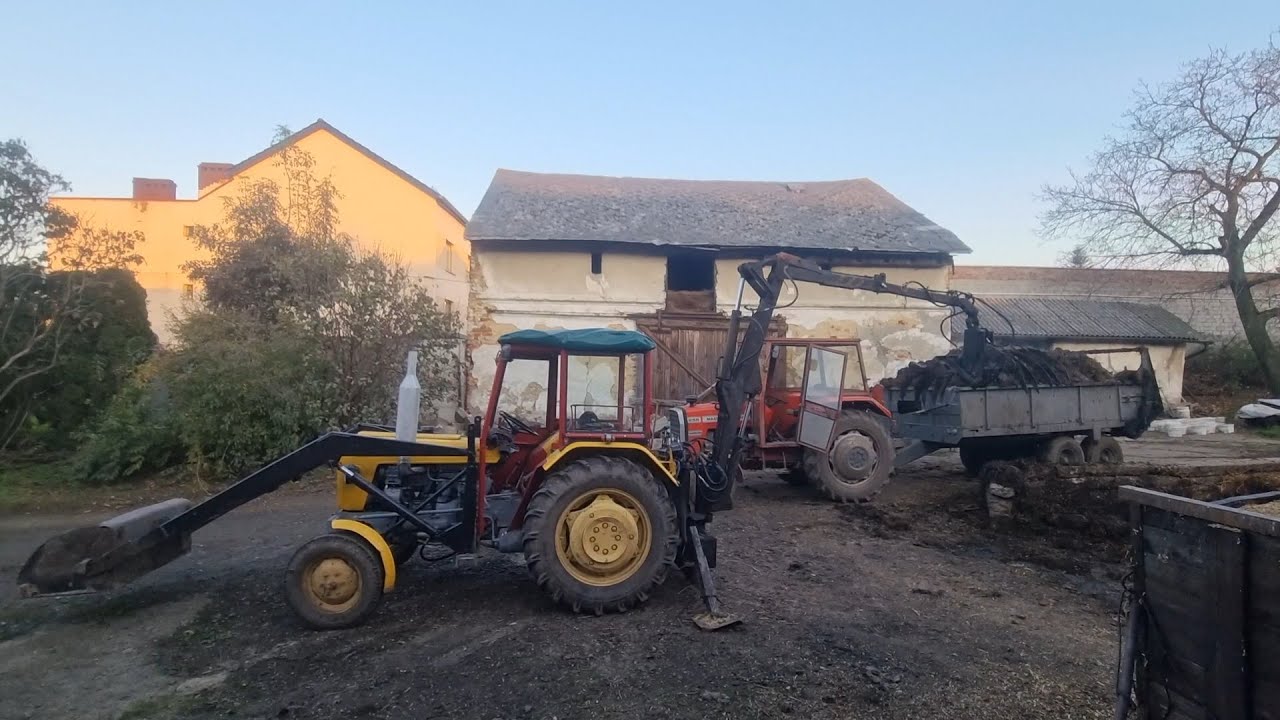 Akcja obornik ostatnia w tym sezonie/ MF255 i Ursus C330