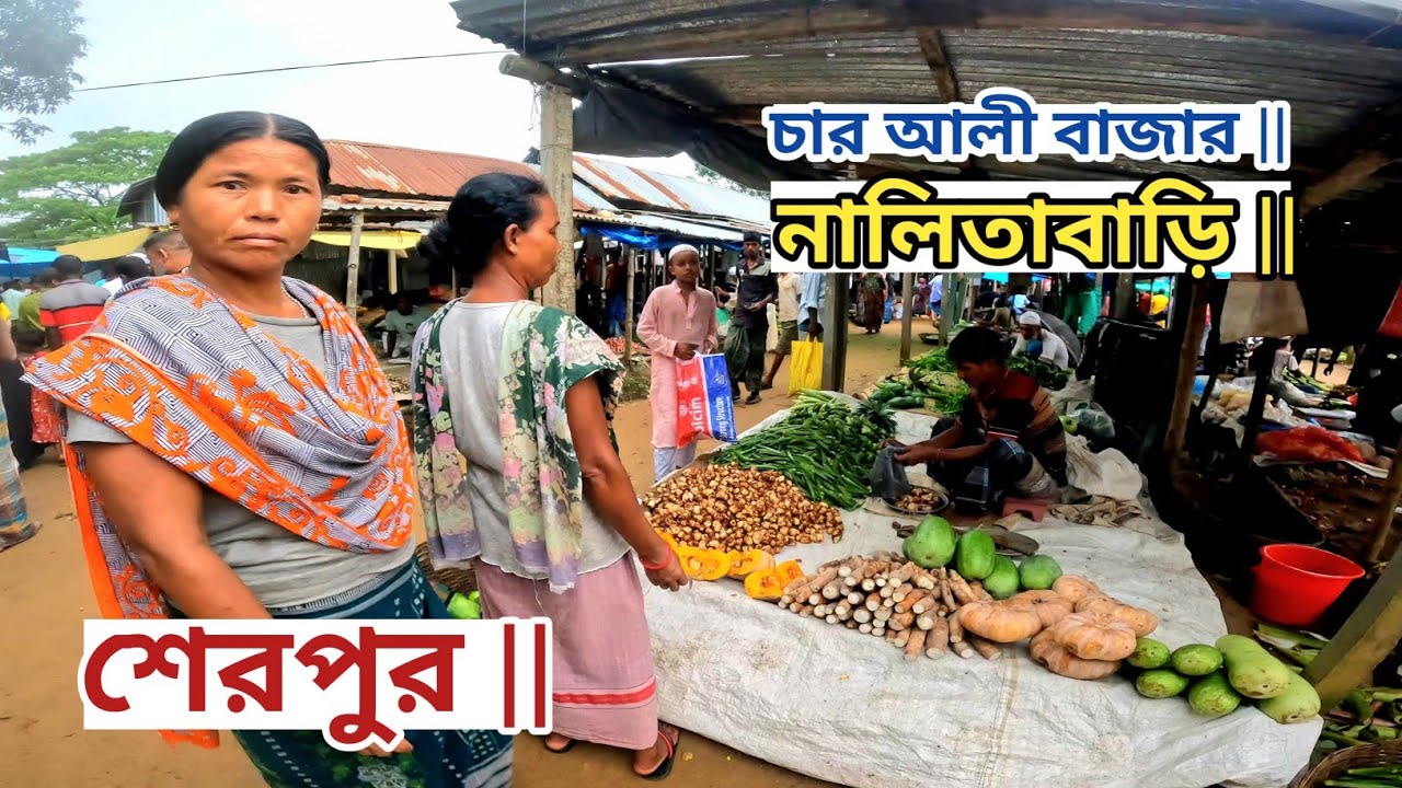 পাহাড়ি জনপদের গ্রামীণ হাট চারআলী বাজার || Rural markets in hill towns || Nalitabari Sherpur