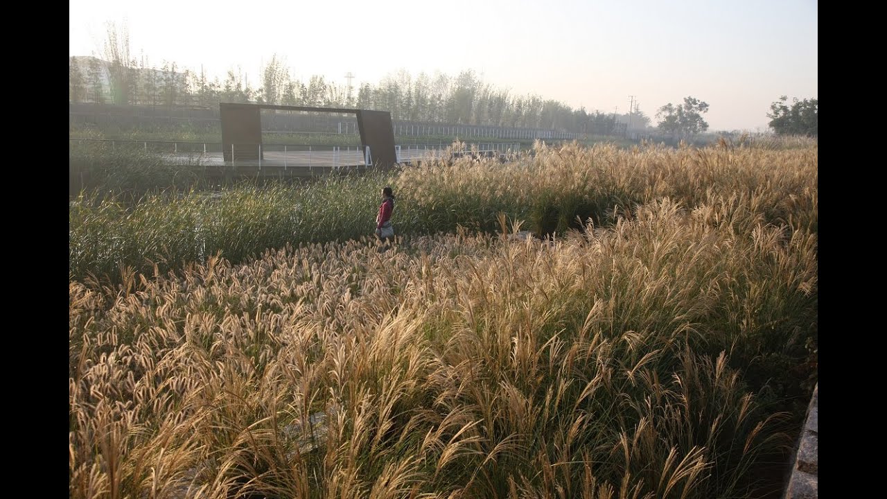 SHANGHAI HOUTAN PARK, Ecopuncture Asia