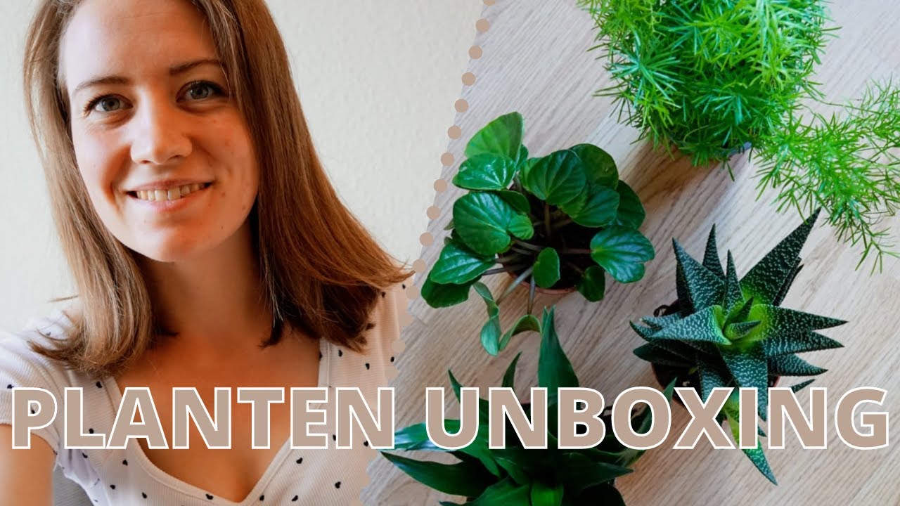 Planten unboxing - Kneusjes Box - Goedkope kamerplanten!