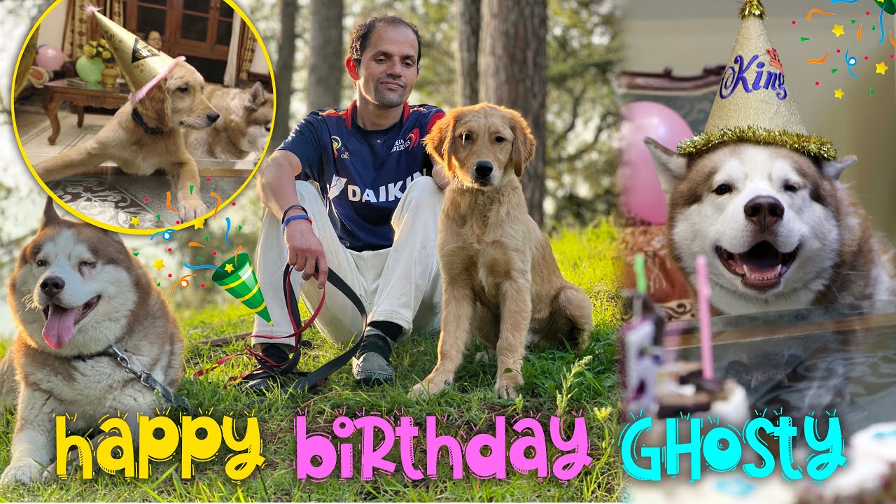 GHOST KA B'DAY VLOG 🎊🥳🎉 | The Himalayan Husky