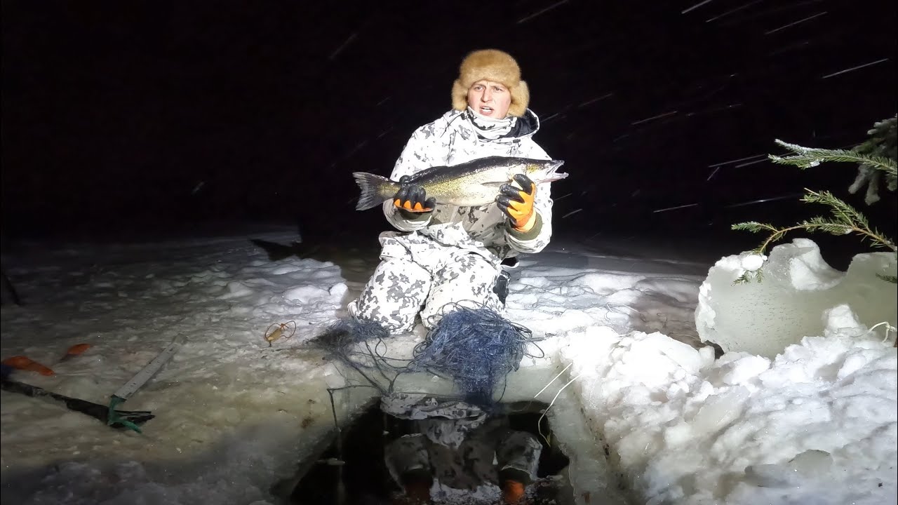 @verkkolive  kauden avaus ja hyvä kalaonni jatkuu.