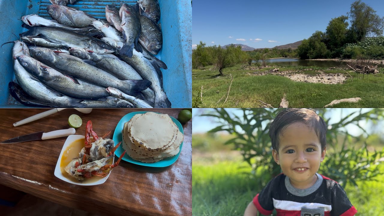 Así nos fue en la pesca 😱//un poco de nuestro día #parati #minivlog #hasmeviral