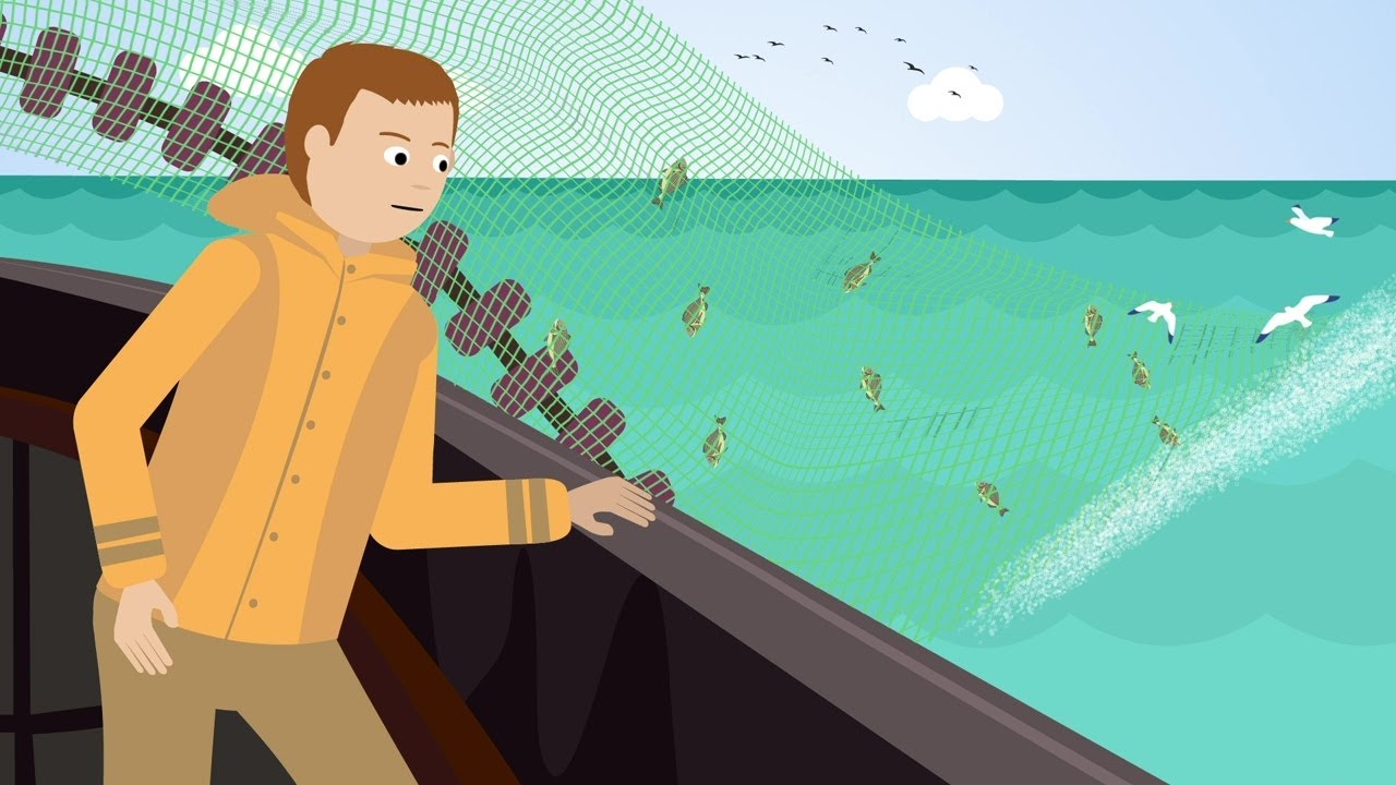 How can we improve the welfare assessment of aquaculture fish?