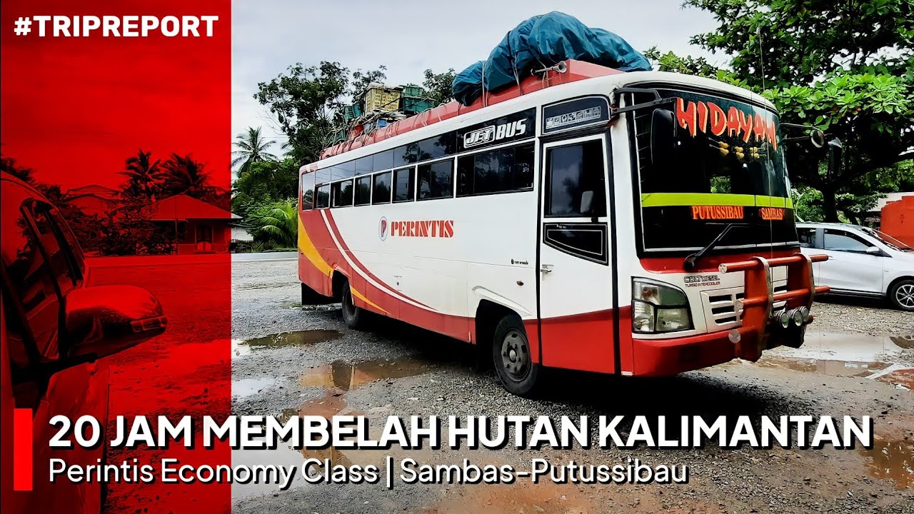 BUS AKDP TERJAUH DI INDONESIA!!! | Trip Report Perintis Economy Class Sambas-Putussibau